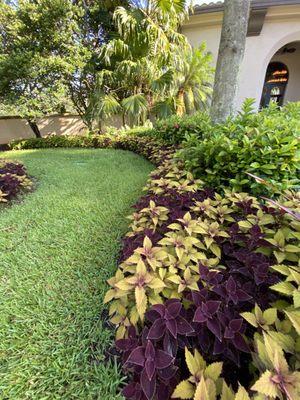 SureShot Pest Solutions