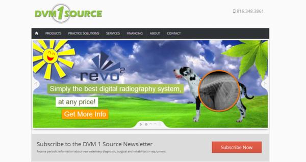 DVM 1 Source - WordPress web design.