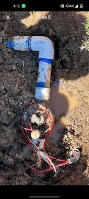 James The Landscaper