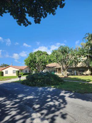 Martins Landscaping & More Tree Trimming