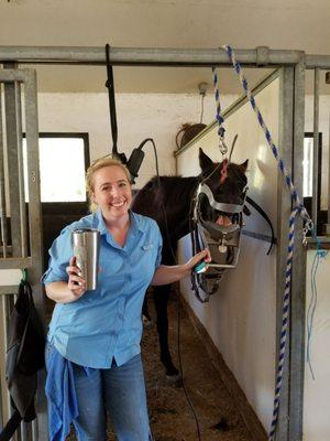 Sunny Coast Veterinary