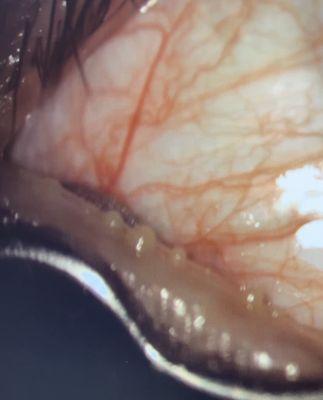 Eye Connection Optometry