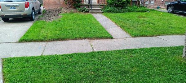 Lawn Love Lawn Care