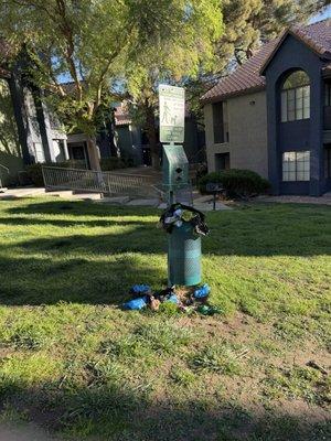 Boulevard @ 4201 Apartments