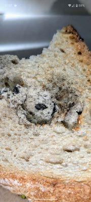 Avocado toast with black mold