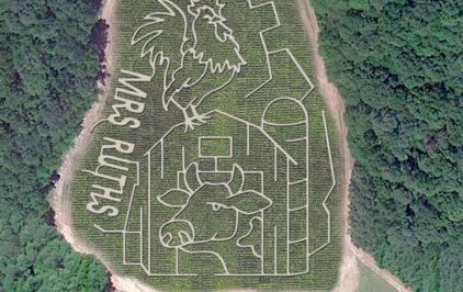 Mrs Ruth's Farms & Corn Maze