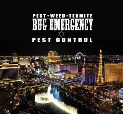 Bug Emergency Pest Control