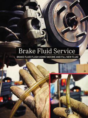 Regatta Smog and Repair