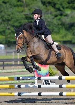 New England Equestrian