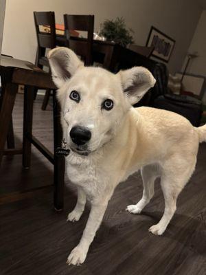 City Way Animal Clinics - Fall Creek