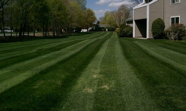 Nadeau's Landscaping