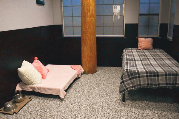 Every Dog's Day Canine Resort & Day Spa