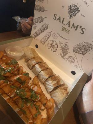 Chicken shawarma wrap and fries. The dresses fries were amazing!