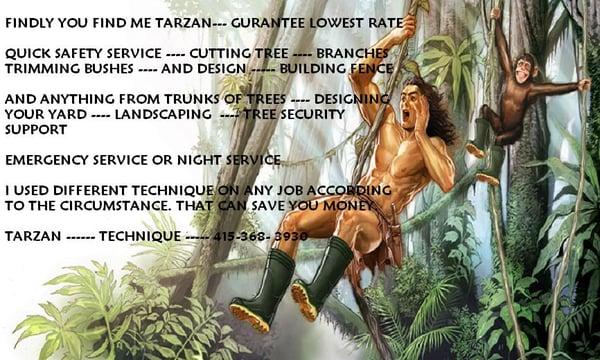 Tarzan Tree Services