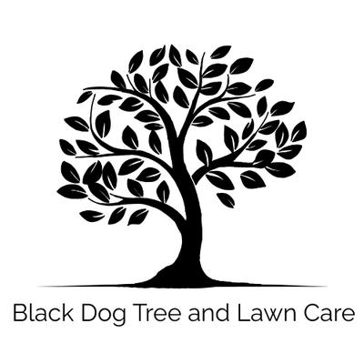 Black Dog Tree And Lawn Care