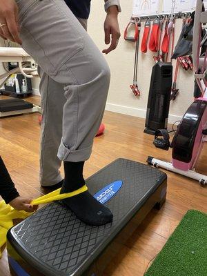 WA Physical Therapy Specialist