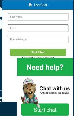 This stupid image blocks the chat