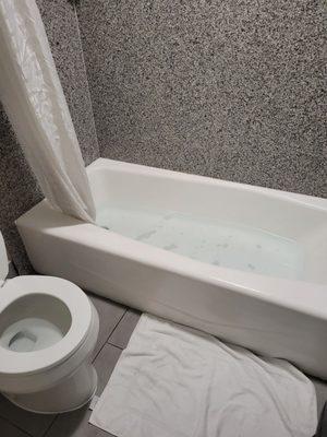 Clogged shower. I was here one night and couldn't even take a decent shower. Horrible experience overall.