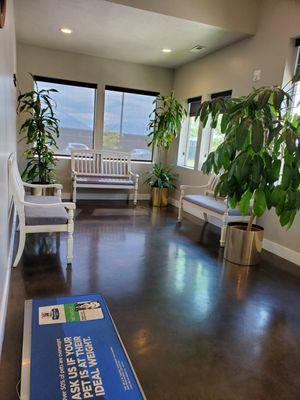 Saratoga Springs Animal Hospital