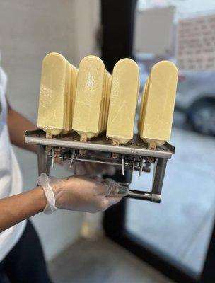 Freddi Frozen Treats
