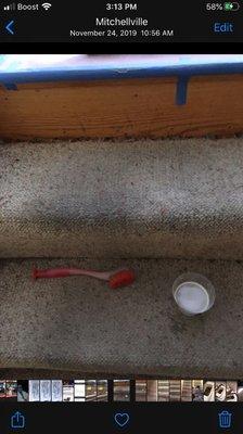 Castro's Floor Care & Cleaning Services