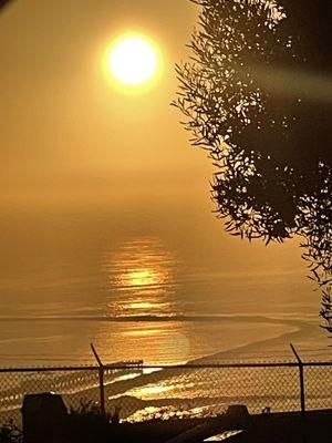 Smart & Final Extra!