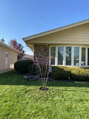 Good Earth Greenhouse