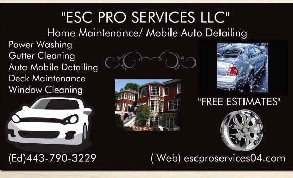 ESC Pro Services
