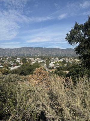 South Hills Dog Park