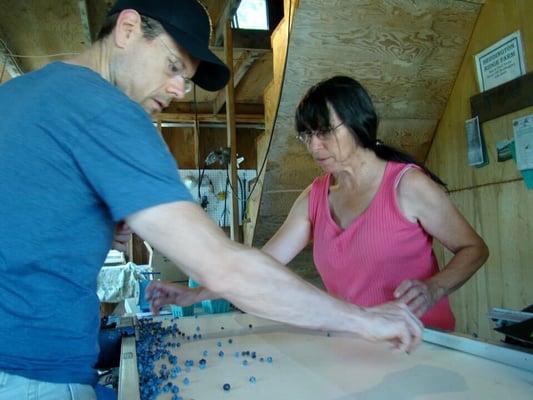 Picking out the stems.