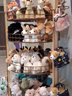 Grapevine Animal Services