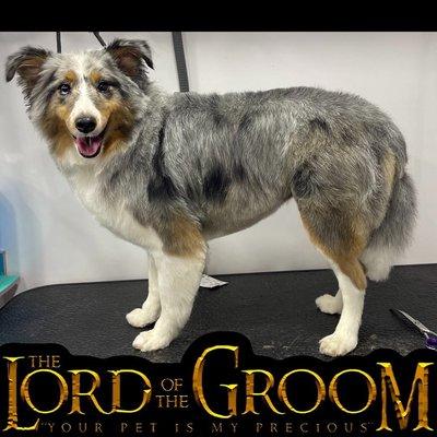 Your Pet Spa Mobile Grooming