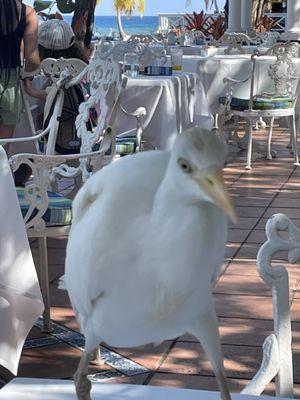 Sunny Villa Holidays LLC