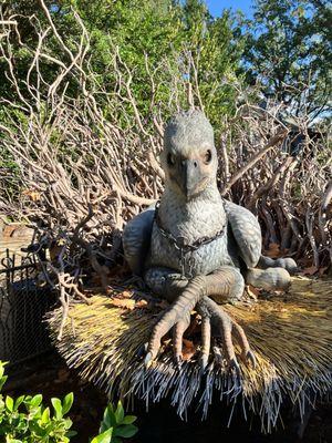 Flight of the Hippogriff