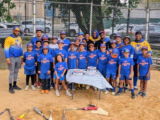 Nyc Lions Baseball Academy