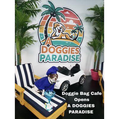 Doggie Bag Cafe