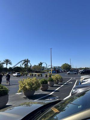 Animal Ambassadors Tour at Seaworld Orlando