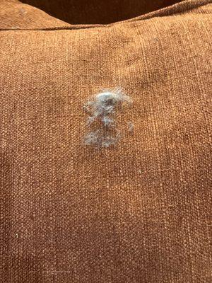 Alert Cleaning Services