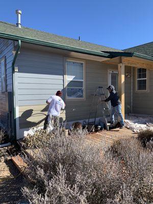 Silver Forest Painting