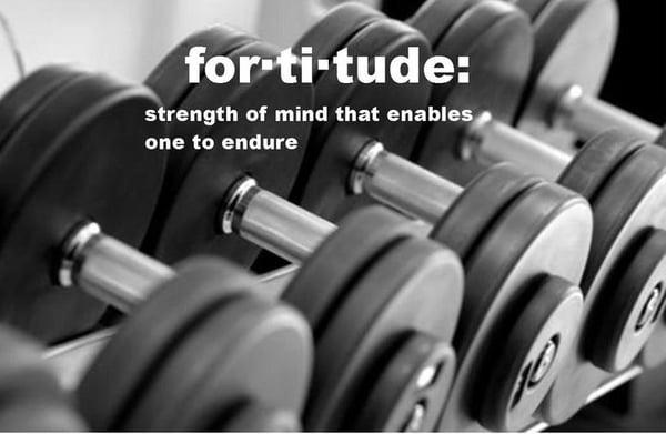 Fortitude Performance