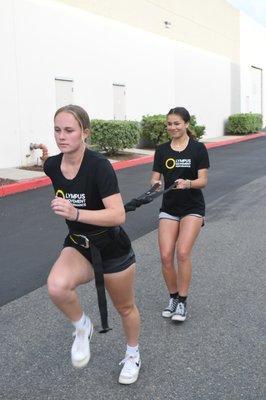 Olympus Movement Performance