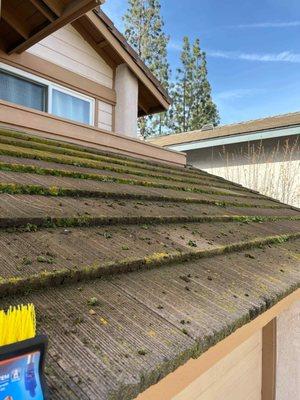 Clean Windows & Services