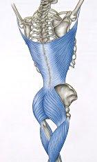 Message With a Healing Touch