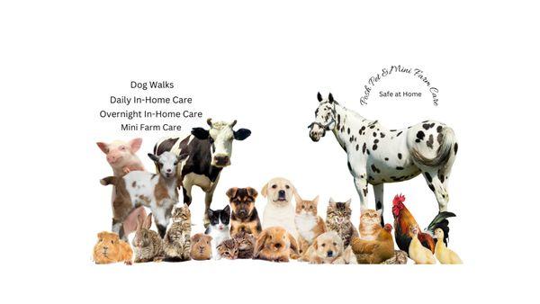 Posh Pet and Mini Farm Care