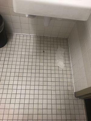 Coconut Palm K-8 Academy