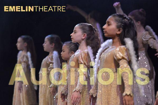 Ballet des Amériques School & Company