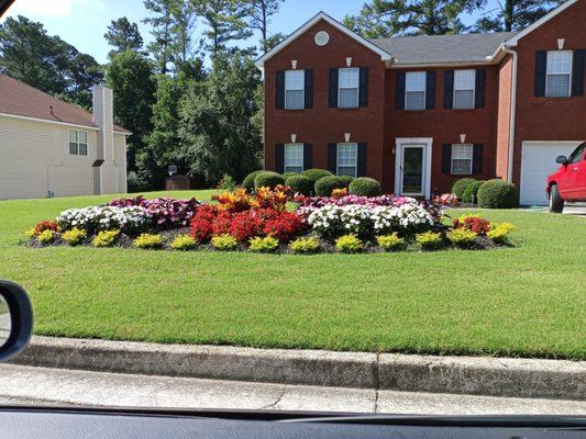 Lawns 4 Kings And Queens