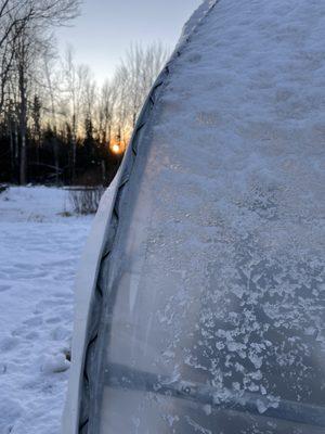 Spencer House of Plants