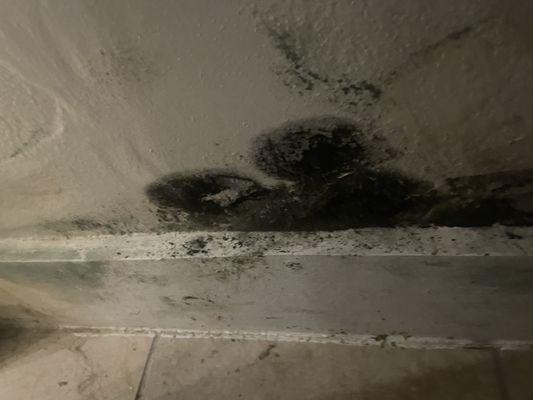 Mold