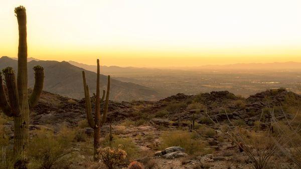 Phoenix Wholesale Property